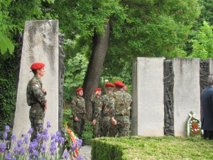 IMG_5998